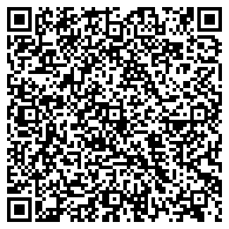 QR-код с контактной информацией организации Скаймоби