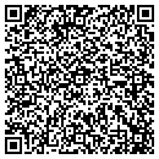 QR-код с контактной информацией организации «ЛИКС» на Владимирском проспекте