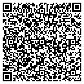 QR-код с контактной информацией организации KAZANKA.SPB.RU