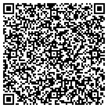 QR-код с контактной информацией организации СТО Ручьи-1