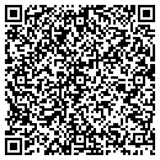 QR-код с контактной информацией организации № 599