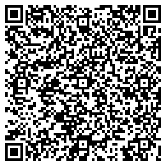 QR-код с контактной информацией организации Викинг