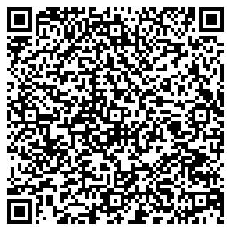 QR-код с контактной информацией организации № 460