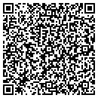QR-код с контактной информацией организации ООО Домино