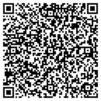 QR-код с контактной информацией организации Кристи