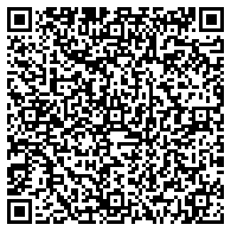 QR-код с контактной информацией организации ООО ЛАНДЫШ