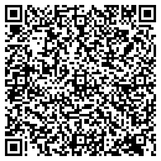 QR-код с контактной информацией организации Шина 777