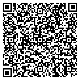 QR-код с контактной информацией организации Краски.ру