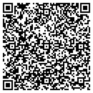 QR-код с контактной информацией организации География