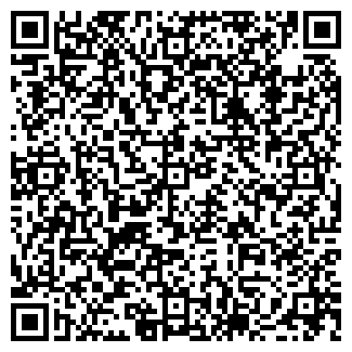 QR-код с контактной информацией организации DNS