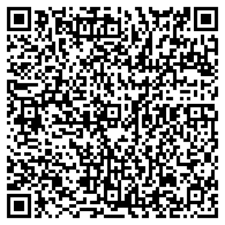 QR-код с контактной информацией организации Лорри