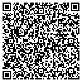 QR-код с контактной информацией организации Стихия