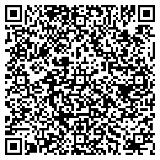 QR-код с контактной информацией организации BK Auto