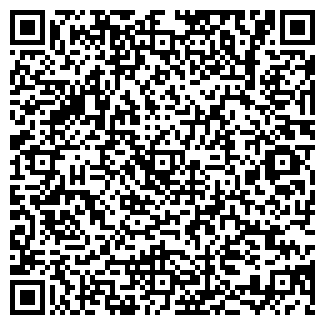 QR-код с контактной информацией организации ALFA Company