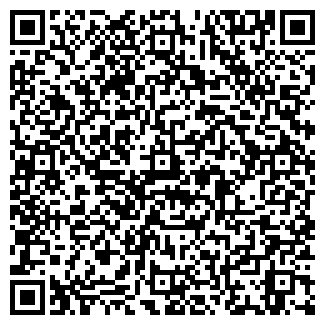 QR-код с контактной информацией организации № 193