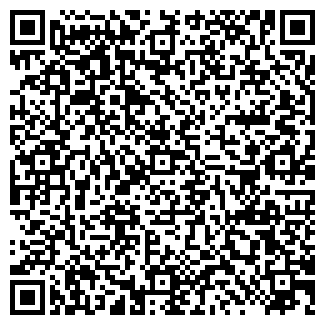 QR-код с контактной информацией организации Visa Vista