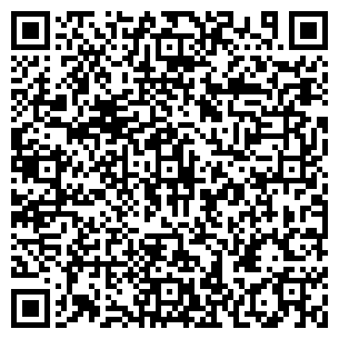 QR-код с контактной информацией организации Леди