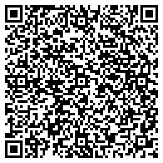 QR-код с контактной информацией организации DS-CHIP