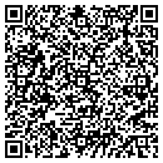 QR-код с контактной информацией организации ООО Geely ТЦ Север