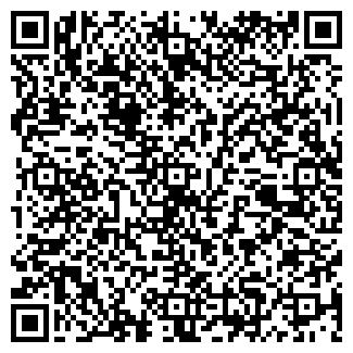 QR-код с контактной информацией организации № 101