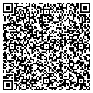 QR-код с контактной информацией организации Билайн