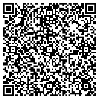 QR-код с контактной информацией организации Новая тема