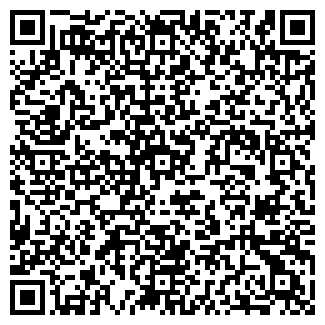 QR-код с контактной информацией организации ПАО «Билайн»
