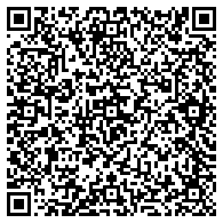 QR-код с контактной информацией организации Салон "БИЛАЙН"
