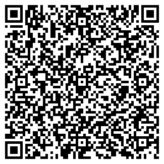 QR-код с контактной информацией организации ИП Ресси