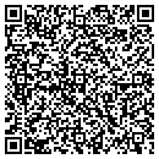 QR-код с контактной информацией организации Michelle