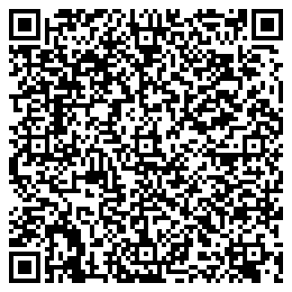 QR-код с контактной информацией организации RICH CAR