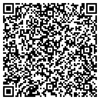 QR-код с контактной информацией организации Мастер на все руки