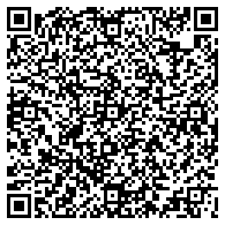 QR-код с контактной информацией организации Билайн