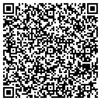 QR-код с контактной информацией организации Visa Travel Норильск