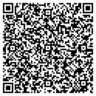 QR-код с контактной информацией организации «Светофор»