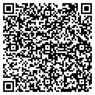 QR-код с контактной информацией организации Магазин  Палитра