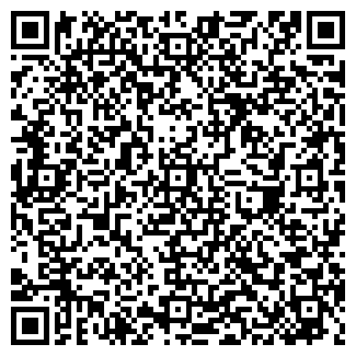 QR-код с контактной информацией организации VIP Турист