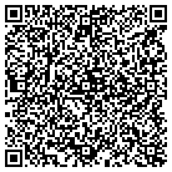 QR-код с контактной информацией организации BitCar SPb