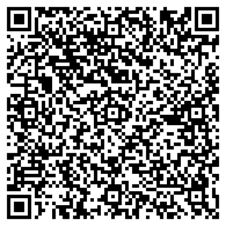 QR-код с контактной информацией организации Волшебная страна