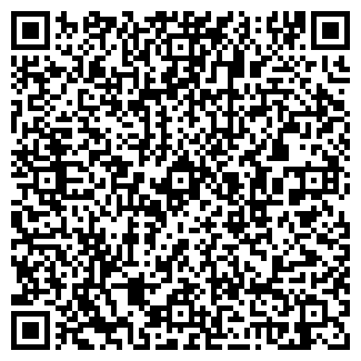 QR-код с контактной информацией организации Магазин ДНС