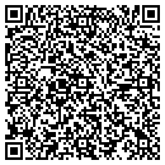 QR-код с контактной информацией организации Visa Travel