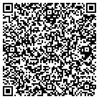 QR-код с контактной информацией организации ШВЫРЯНКИН, ЧП