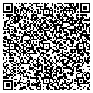 QR-код с контактной информацией организации ООО Деловые линии