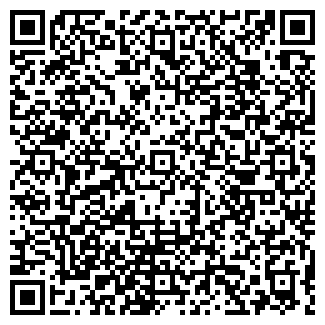 QR-код с контактной информацией организации ООО Вавилон33