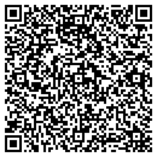 QR-код с контактной информацией организации "Волма-Мордовия" бизнес-направление ГК "Система"