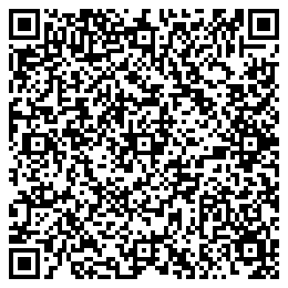 QR-код с контактной информацией организации Лексус Уфа