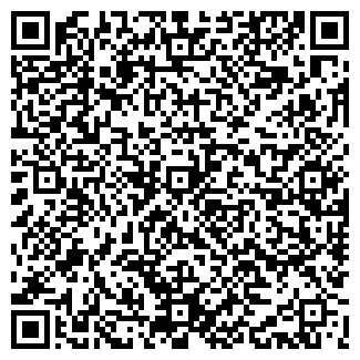 QR-код с контактной информацией организации ООО Pingle