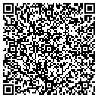QR-код с контактной информацией организации ООО Римейк