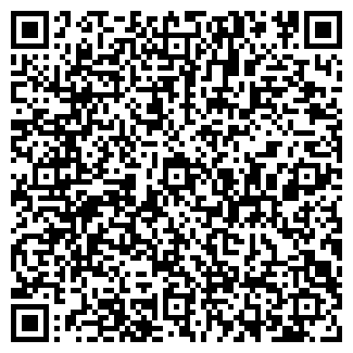 QR-код с контактной информацией организации ООО МетизСервис