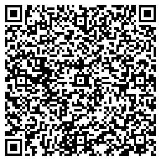 QR-код с контактной информацией организации Gin Форсаж